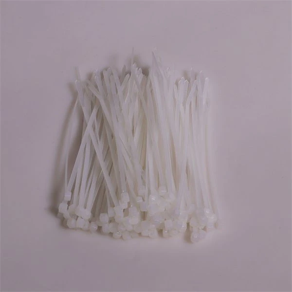 Iris 110116972 nagyítás