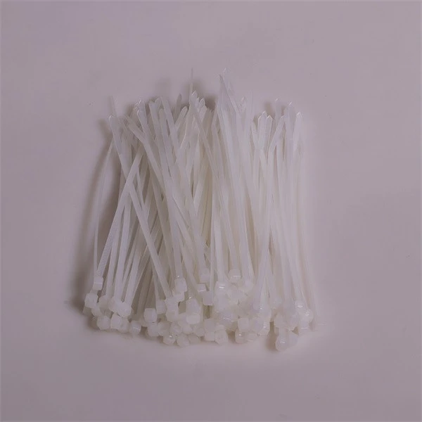 Iris 110256972 nagyítás