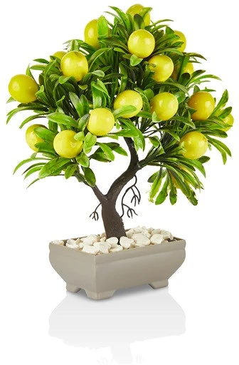 Iris E5638 nagyítás