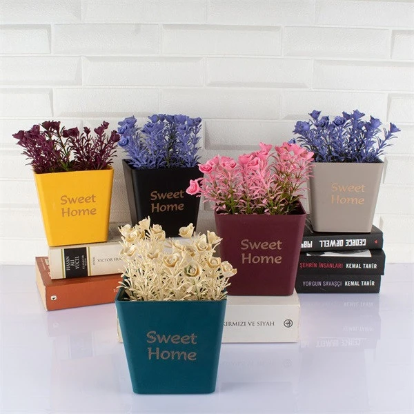 Iris E5661 nagyítás