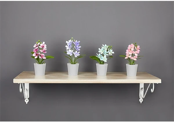 Iris E5679 nagyítás