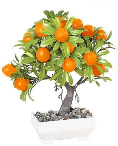 Iris E5697 nagyítás