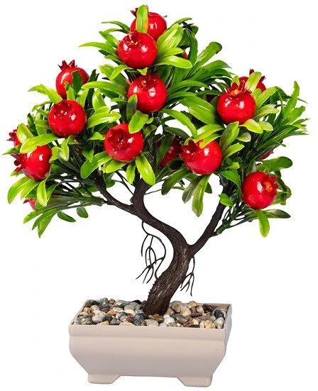 Iris E5698 nagyítás