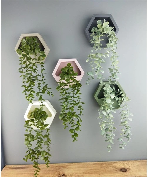 Iris E5798 nagyítás