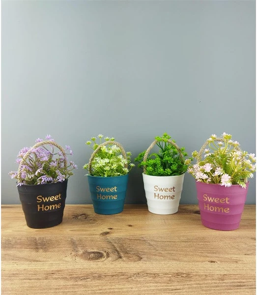 Iris E5800 nagyítás