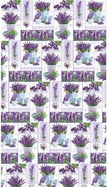 Iris P2_OG_19 nagyítás