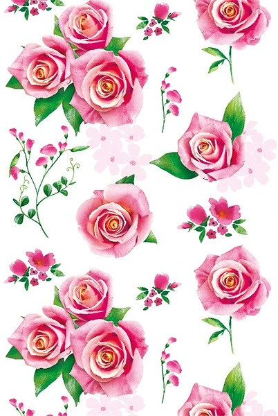 Iris P2_OG_27 nagyítás