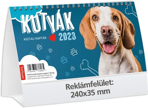 Kalendart 25T581P-00P nagyítás