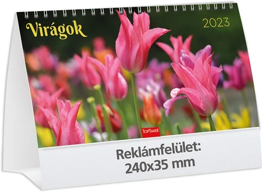 Kalendart 25T583P-00P nagyítás