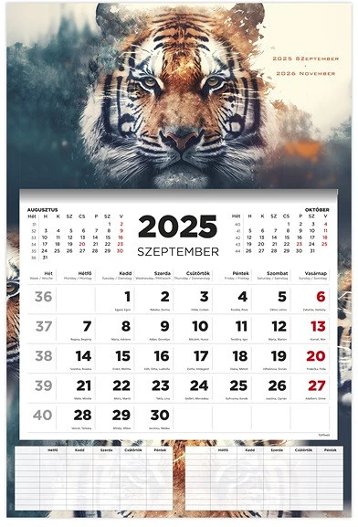 Kalendart 26D7620-000 nagyítás