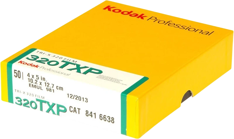 Kodak TRI-X PAN TXP 4X5 50 nagyítás
