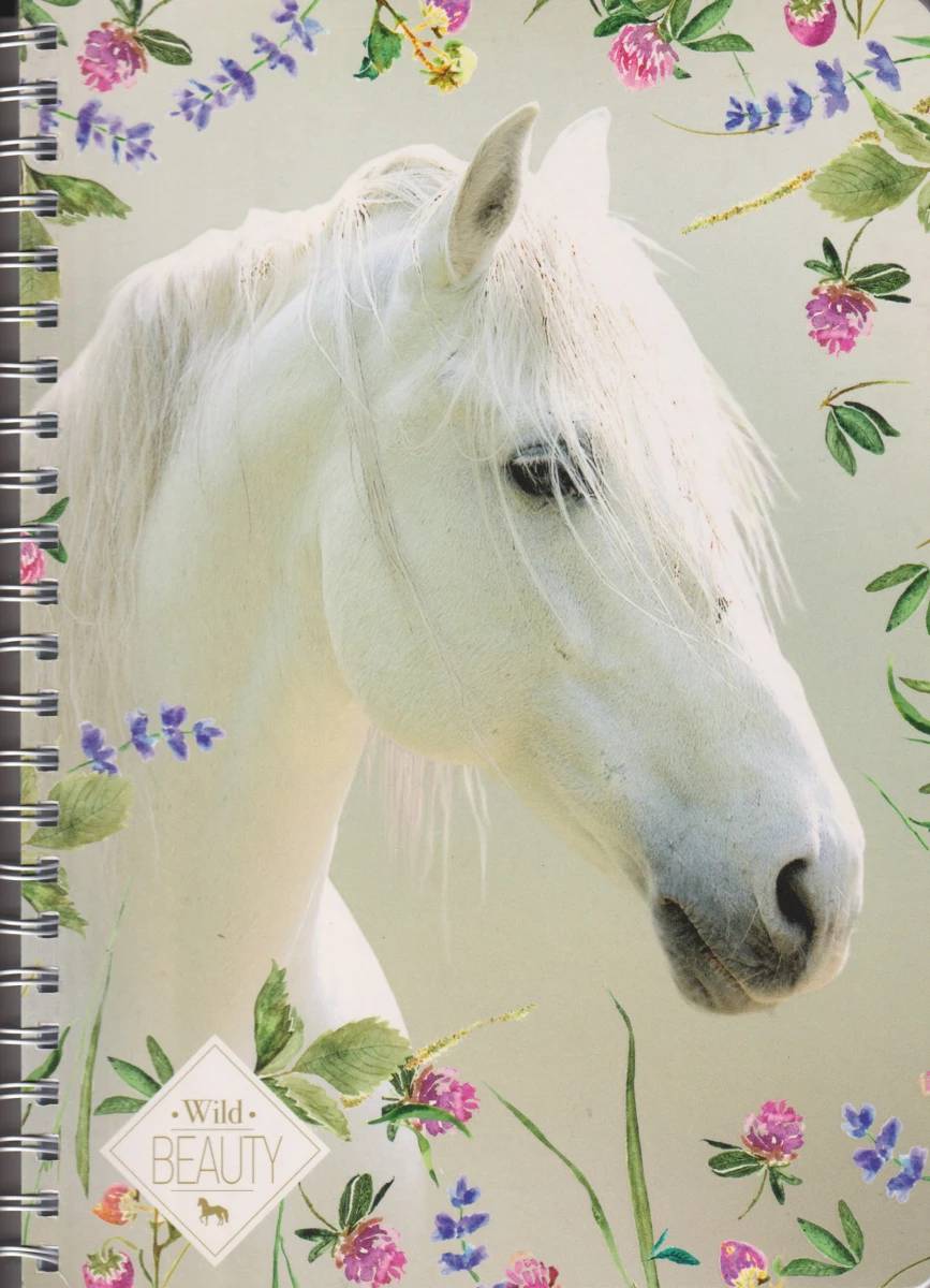 Lizzy card 19638901 nagyítás