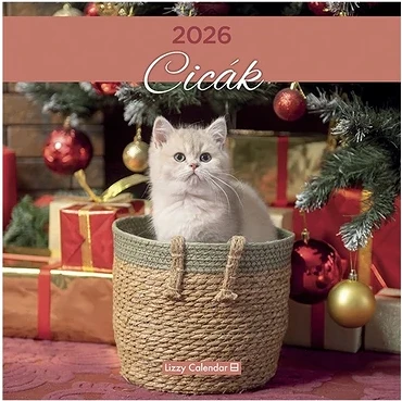 Lizzy card 23.09440 nagyítás