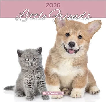 Lizzy card 23.09441 nagyítás