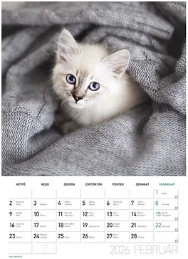 Lizzy card 23.09452 nagyítás