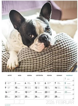 Lizzy card 23.09453 nagyítás