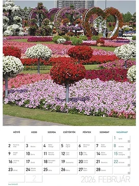 Lizzy card 23.09458 nagyítás