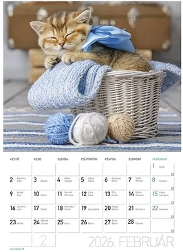 Lizzy card 23.09460 nagyítás