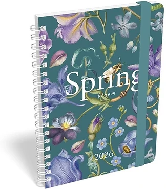 Lizzy card 23.0958909 nagyítás