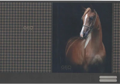 Lizzy card 526994ROB nagyítás