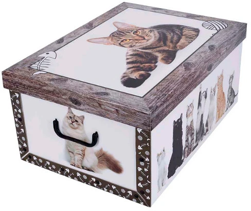 Miss space 7014 nagyítás