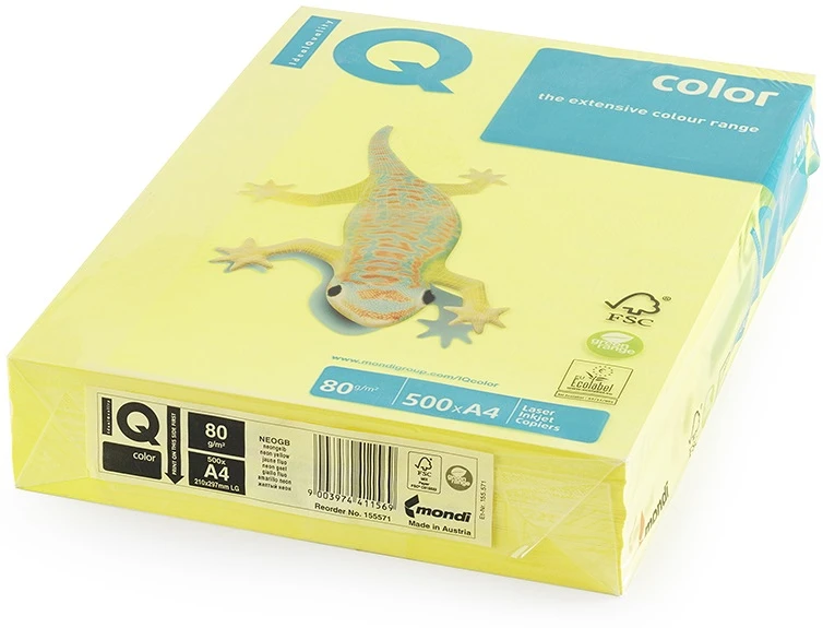 Mondi 1314598 nagyítás