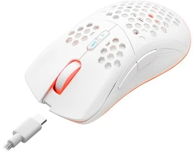 Ms MSP20051 nagyítás