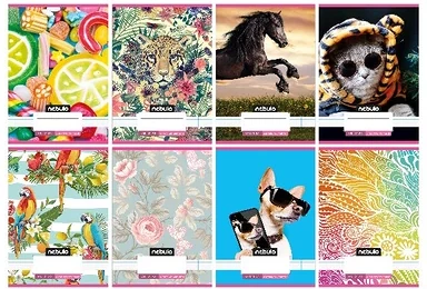 Nebuló 01.08106 nagyítás