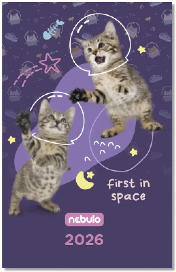 Nebuló TZSN-A6-26-D2 nagyítás