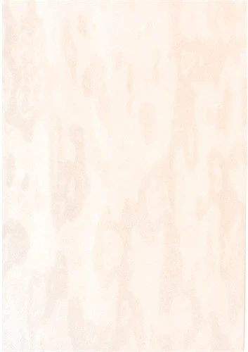 Noname PATP1020-2405 nagyítás