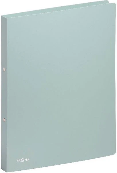 Pagna P2090218 nagyítás