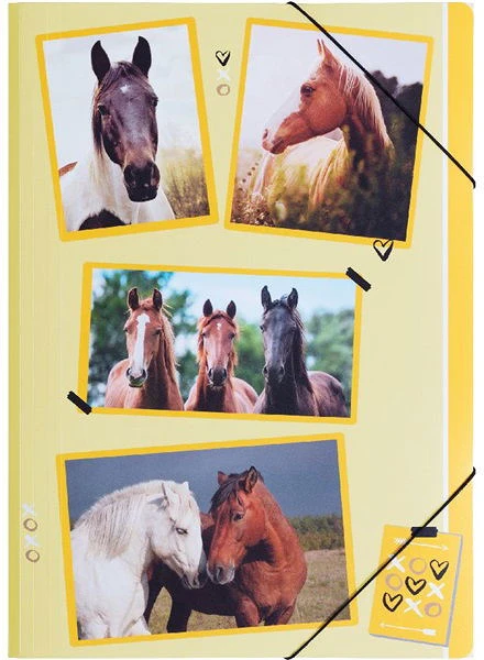 Pagna P2171515 nagyítás