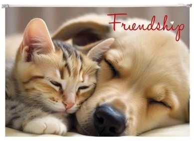 Panta plast COR_INP0410006355 nagyítás