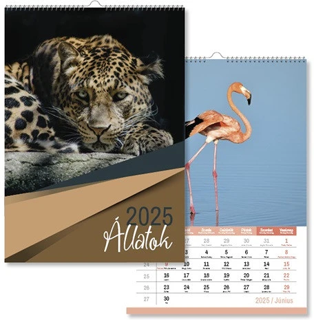 <span itemprop='brand'>Pd calendar</span> <span itemprop='sku'>ppp4114-1710</span> nagyítás