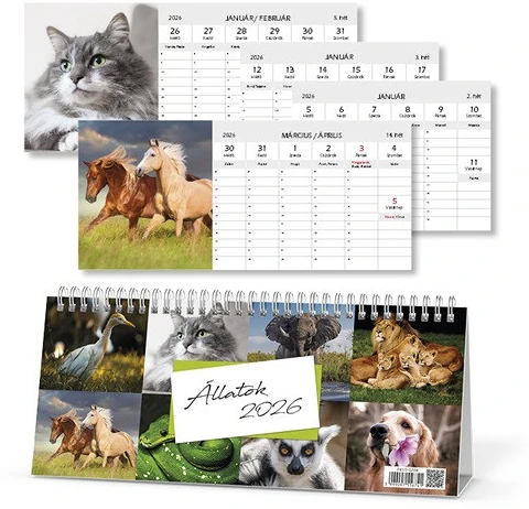 Pd PATP4111-0204 nagyítás