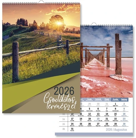 Pd PATP4111-0216 nagyítás