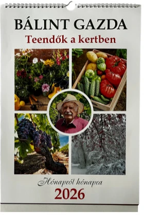 Pd PATP4112-5416 nagyítás