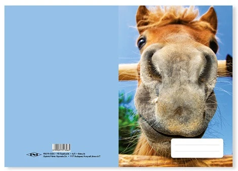 Pd PPP0019-0236 nagyítás