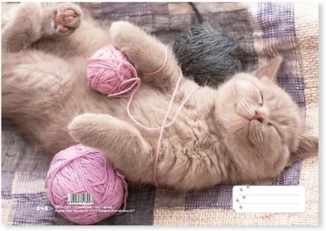 Pd PPP0019-0232 nagyítás