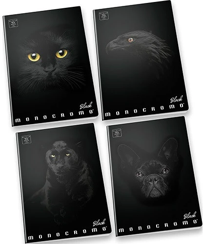 Pigna 02303371R nagyítás