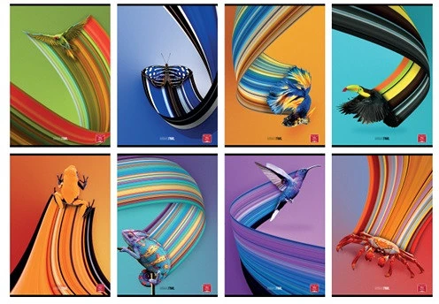 Pigna 02326141R nagyítás