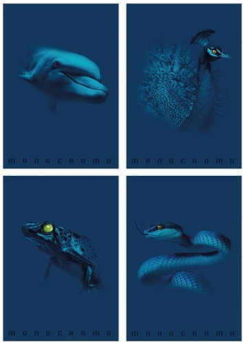 Pigna 02326195M nagyítás