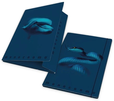 Pigna 02326623L nagyítás