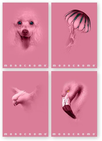 Pigna 02330125M nagyítás