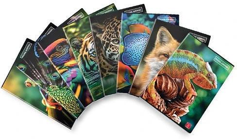 Pigna 02333715M nagyítás