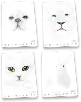 Pigna 02307915M nagyítás