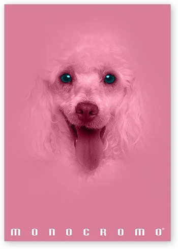 Pigna P1111-1292 nagyítás