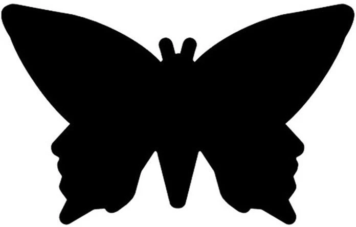 Pillangó FHBB0033 nagyítás