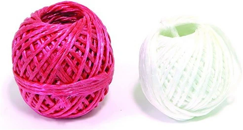 Pp VEC19_00024 nagyítás