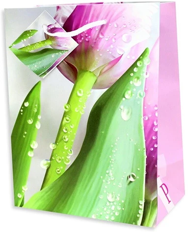 Qx 370679 nagyítás